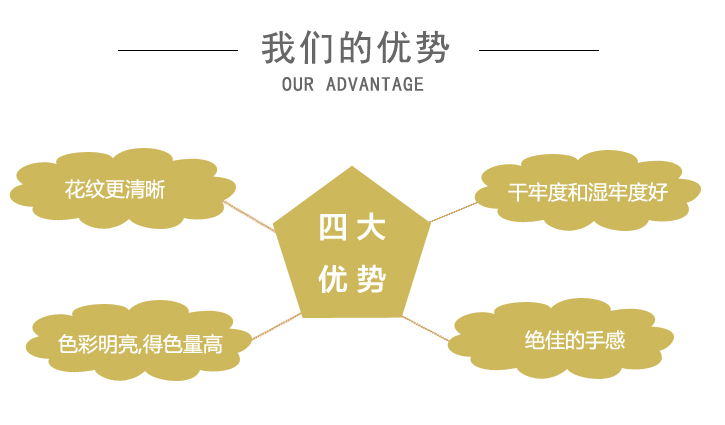 塗料增(zēng)稠劑ZC701SN